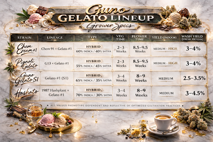 GUNO GELATO (GELATO #1) FEMINIZED LINE