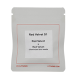 Red Velvet S1 strain feminized cannabis seeds lit farms