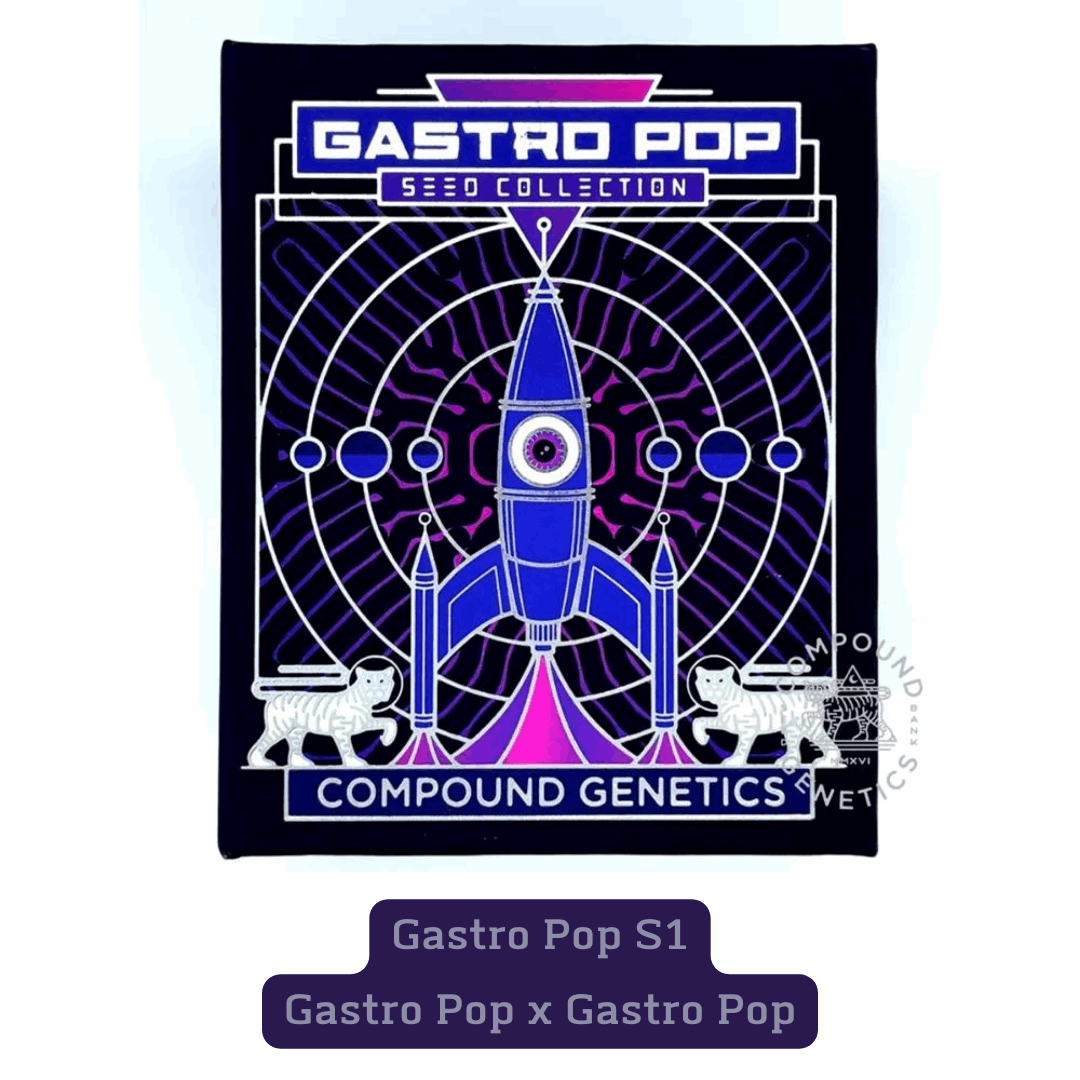 Gastro Pop strain seeds, lineage, S1, Compound Genetics