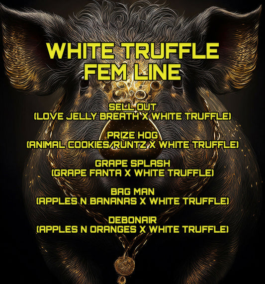 white truffle menu