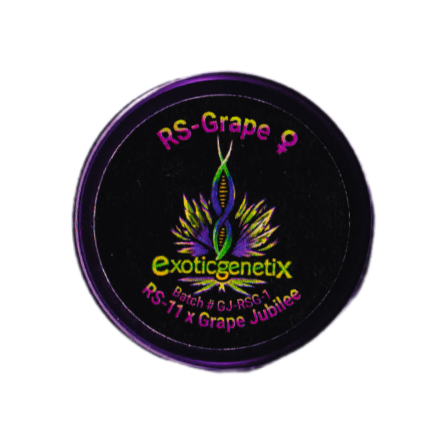 RS-GRAPE RS11 x Grape Jubilee EXOTIC GENETIX