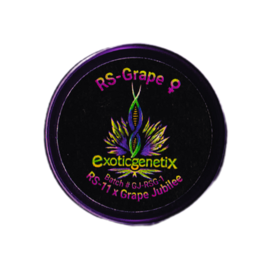 RS-GRAPE RS11 x Grape Jubilee EXOTIC GENETIX
