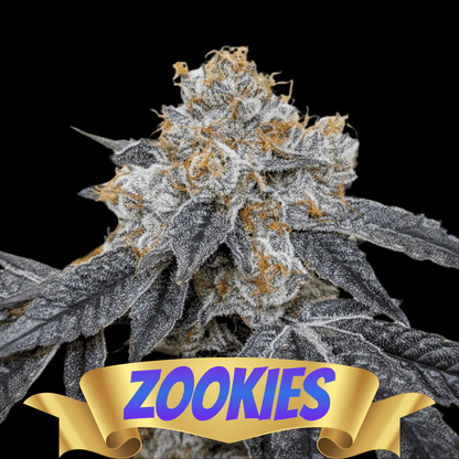 ZOOKIES  Animal Cookies x Gorilla Glue #4
