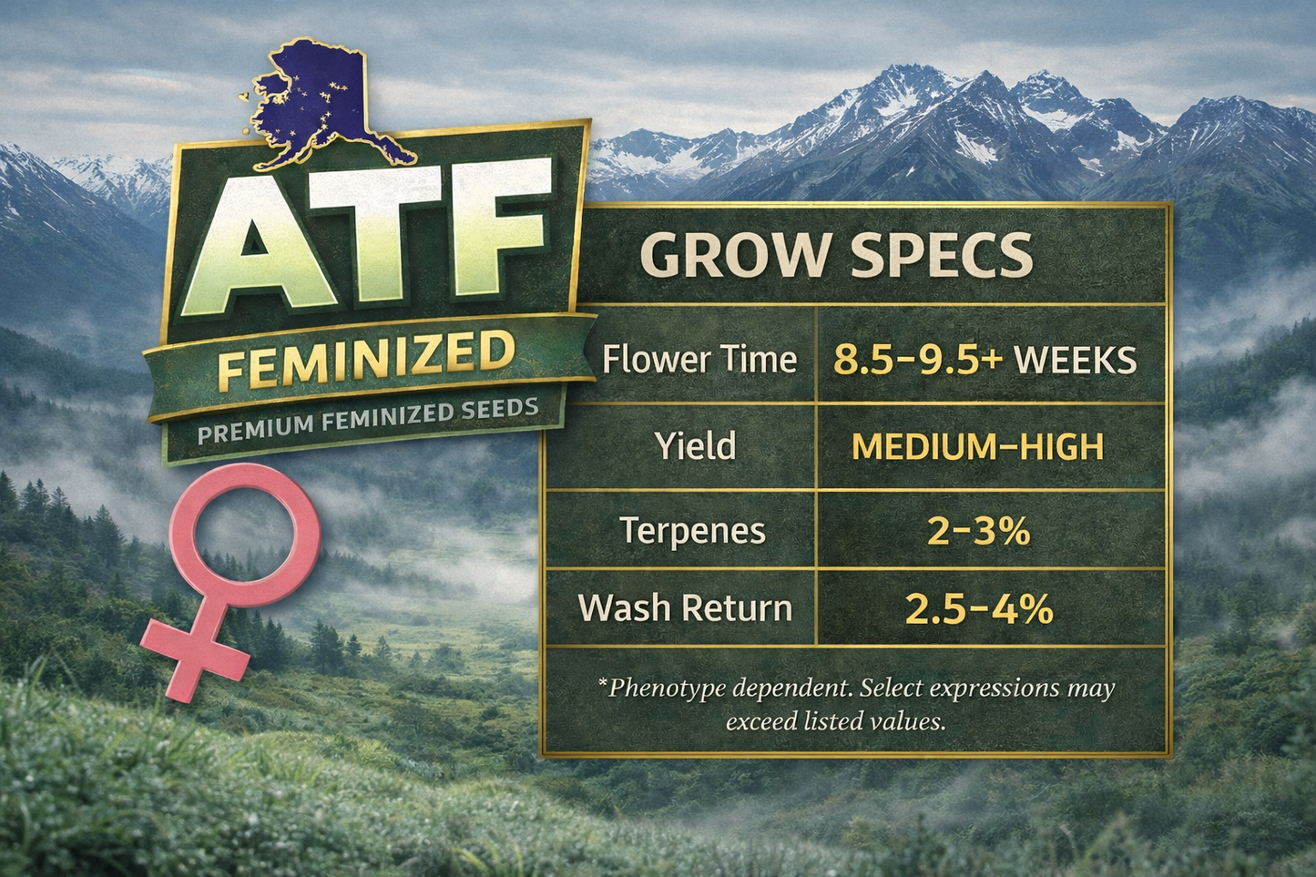 ALASKAN THUNDERFUCK (ATF) AKA MATANUSKA THUNDERFUCK (MTF) FEM