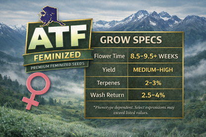 ALASKAN THUNDERFUCK (ATF) AKA MATANUSKA THUNDERFUCK (MTF) FEM