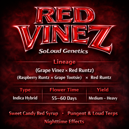 **NEW** RED VINEZ (GRAPE VINEZ X RED RUNTZ) FEM
