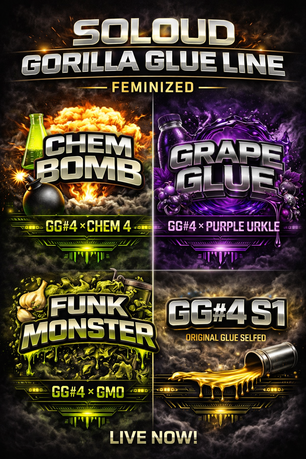 GG4 FEM LINE FULL BOX SET