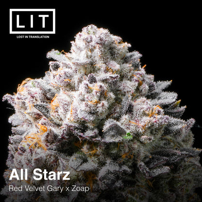 ALL STARZ (FEM)