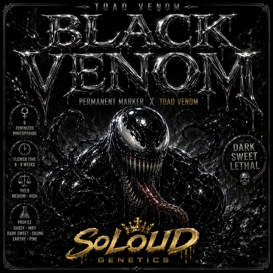 BLACK VENOM FEMINIZED SEEDS