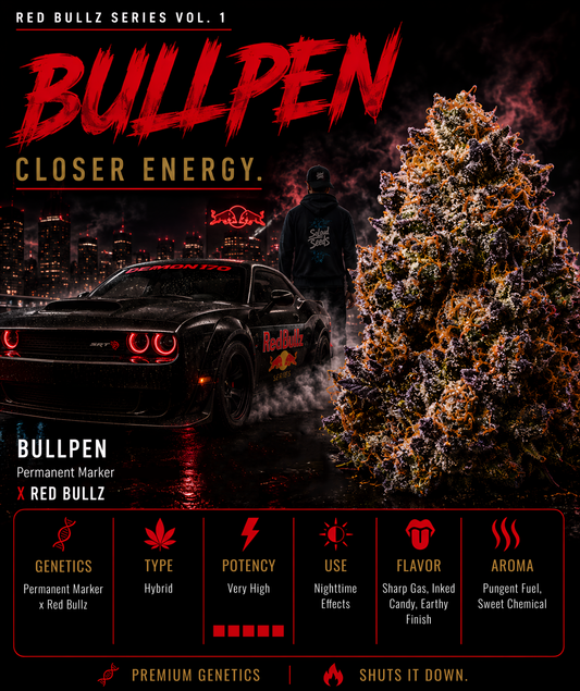 BULLPEN (PERMANENT MARKER X RED BULLZ) FEM