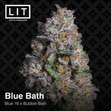 BLUE BATH Blue 16 (Blue Cookies x Project 4516) x Bubble Bath Feminized Seeds LIT FARMS