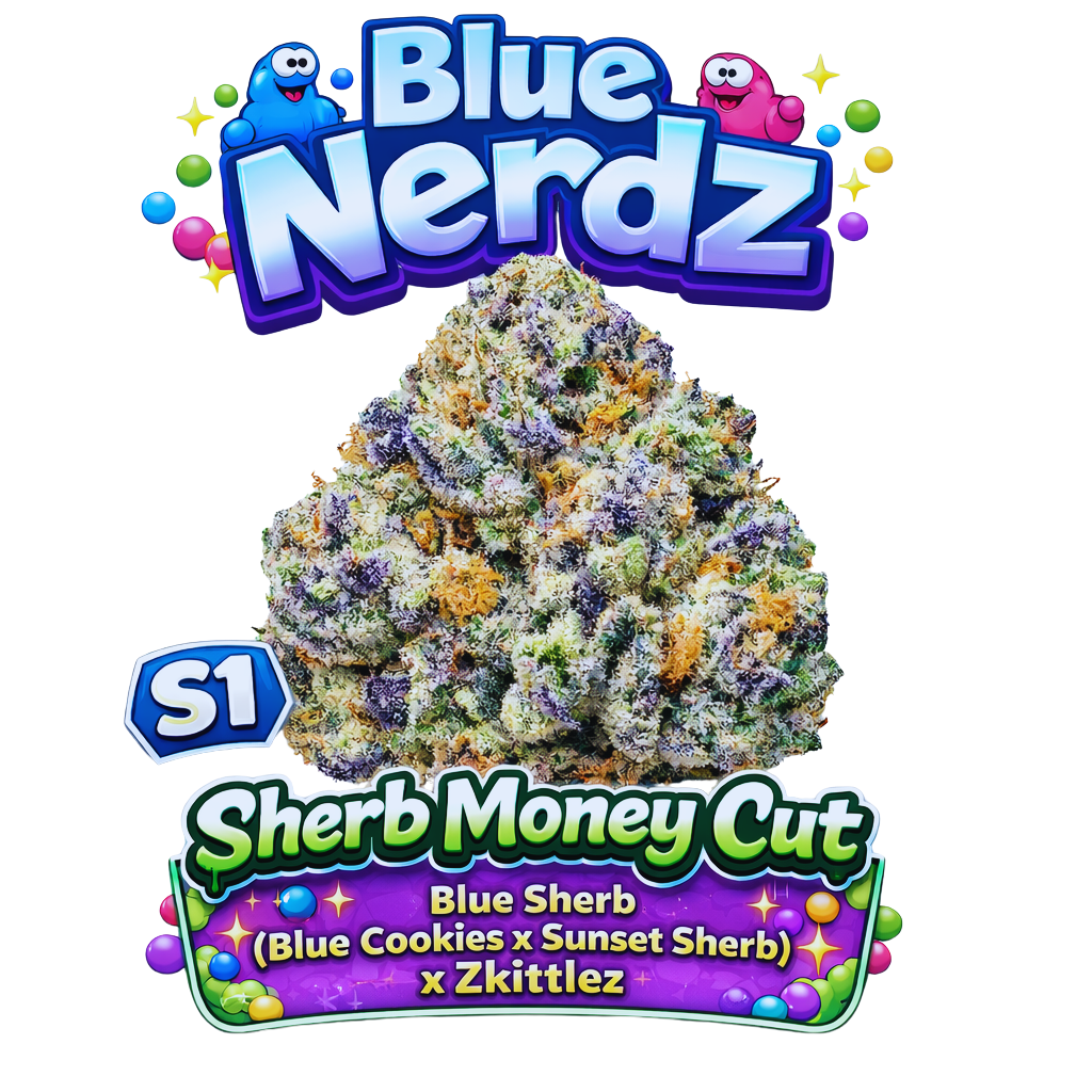 Blue Nerdz S1 Seeds