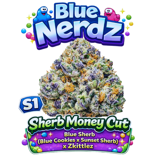 Blue Nerdz S1 Seeds