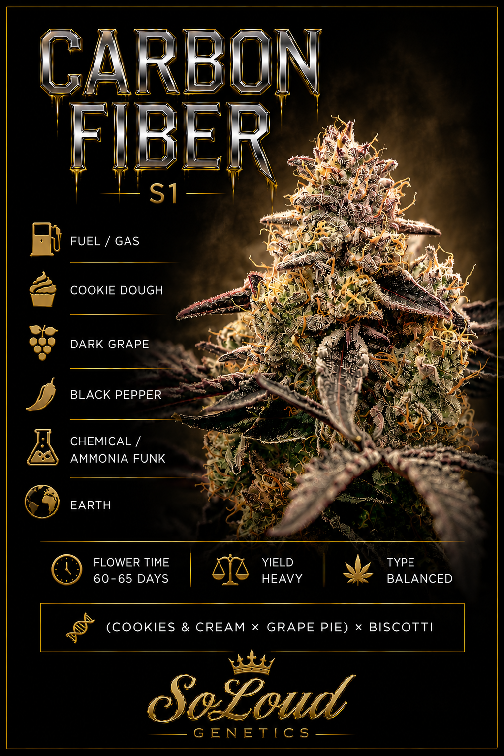 CARBON FIBER FEMINIZED CANNABIS SEEDS