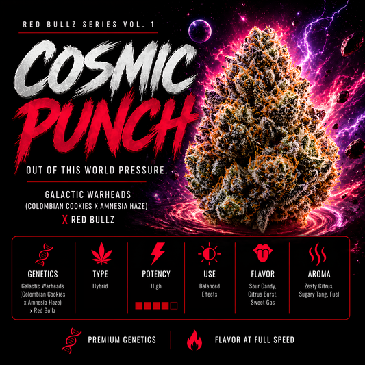 COSMIC PUNCH (GALACTIC WARHEADS X RED BULLZ) FEM