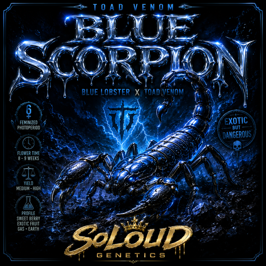 BLUE SCORPION (FEM)