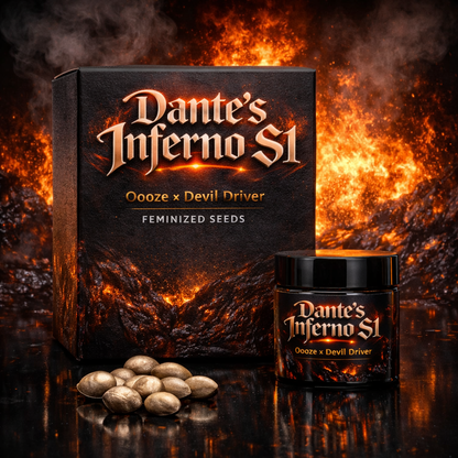 DANTE'S INFERNO FEMINIZED  S1 SEEDS