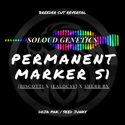 PERMANENT MARKER S1  {Biscotti x Jealousy} x Sherb Bx FEMINIZED CANNABIS SEEDS DOJA PAK SEED JUNKY