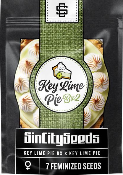 KEY LIME PIE BX2♀ (KEY LIME PIE BX X KEY LIME PIE)