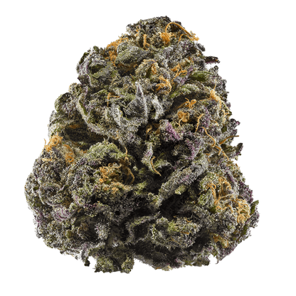 Grandaddy Purple, (AKA: GDP, Grandaddy Purple) Purple Urkle x Big Bud, Feminized Cannabis Seeds
