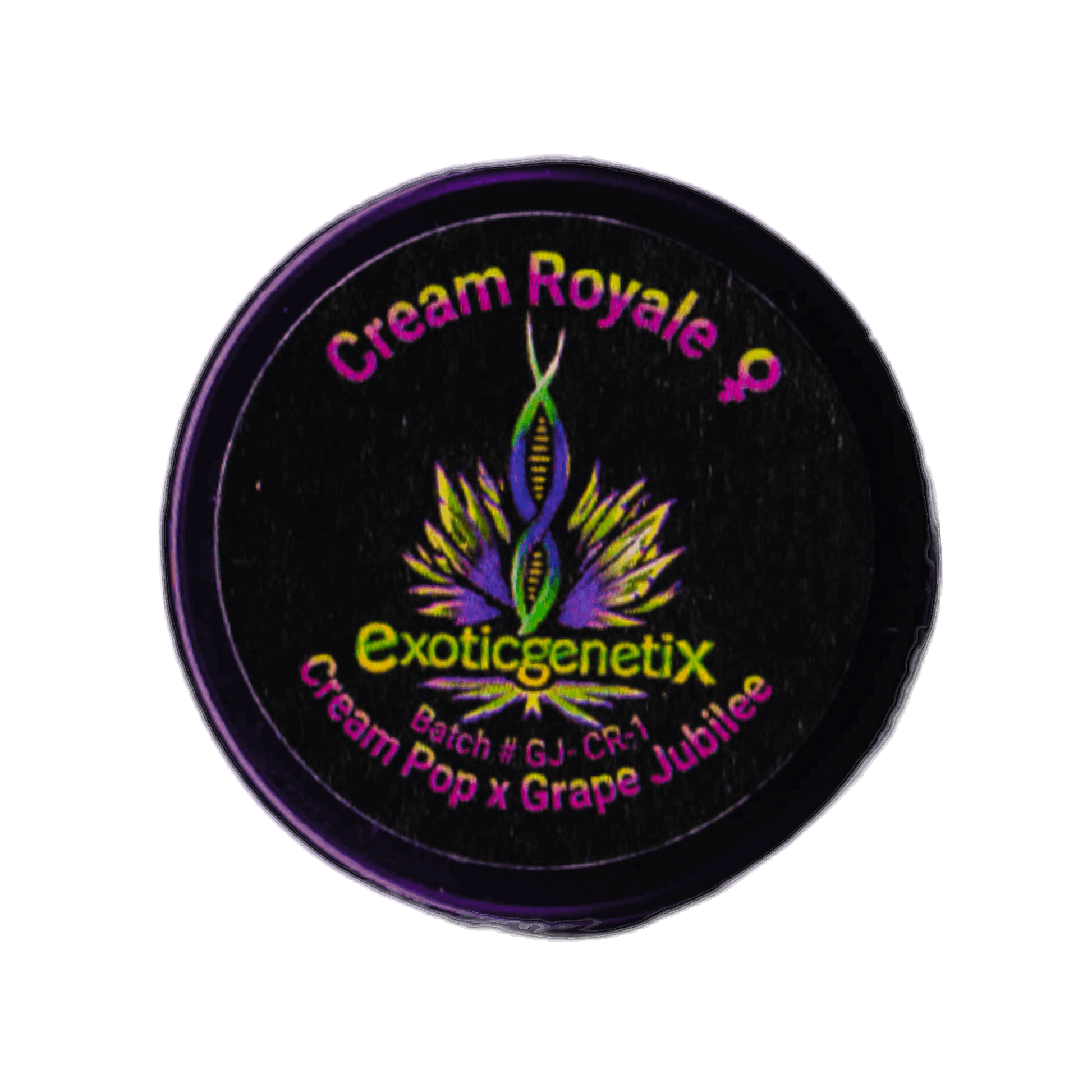 CREAM ROYALE Cream Pop x Grape Jubilee Exotic Genetix