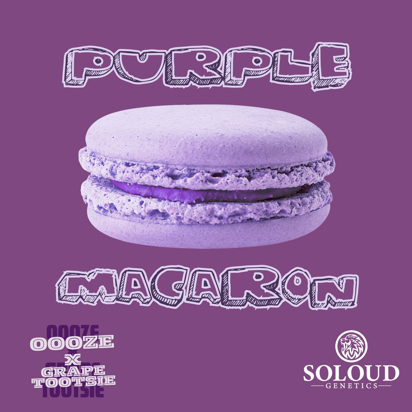 PURPLE MACARON S1