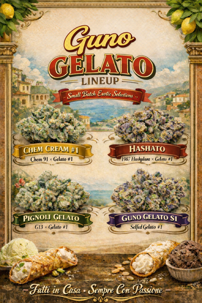 Guno Gelato Gelato #1 Feminized Seeds