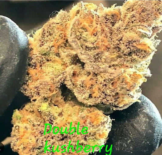 DOUBLE KUSHBERRY FEM — 3 PACK
