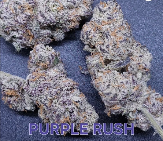 PURPLE RUSH FEM — 3 PACK