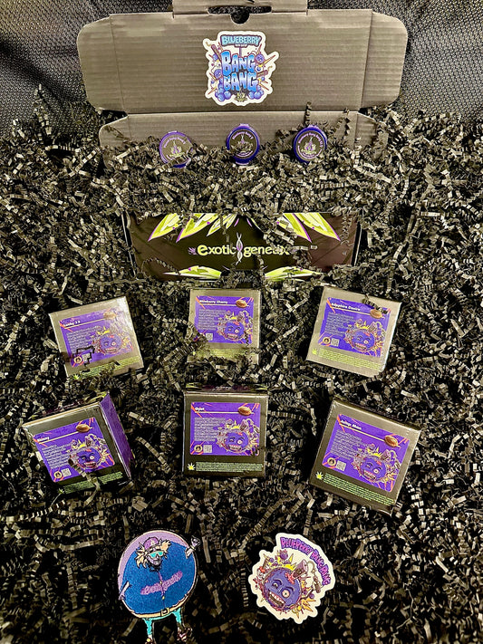 Blueberry Bang Bang Seedbank Box