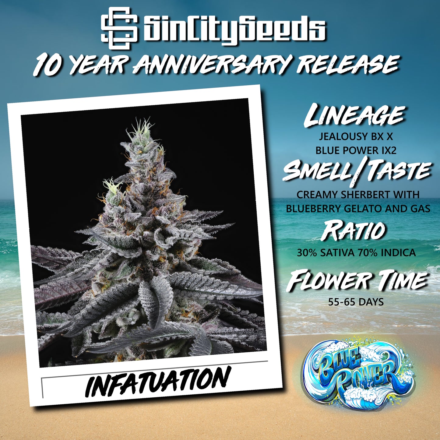 INFATUATION (JEALOUSY BX X BLUE POWER IX2) REG