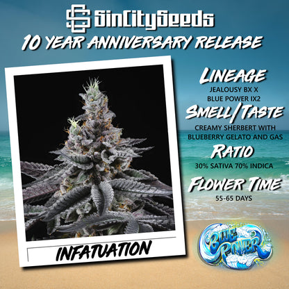 INFATUATION (JEALOUSY BX X BLUE POWER IX2) REG