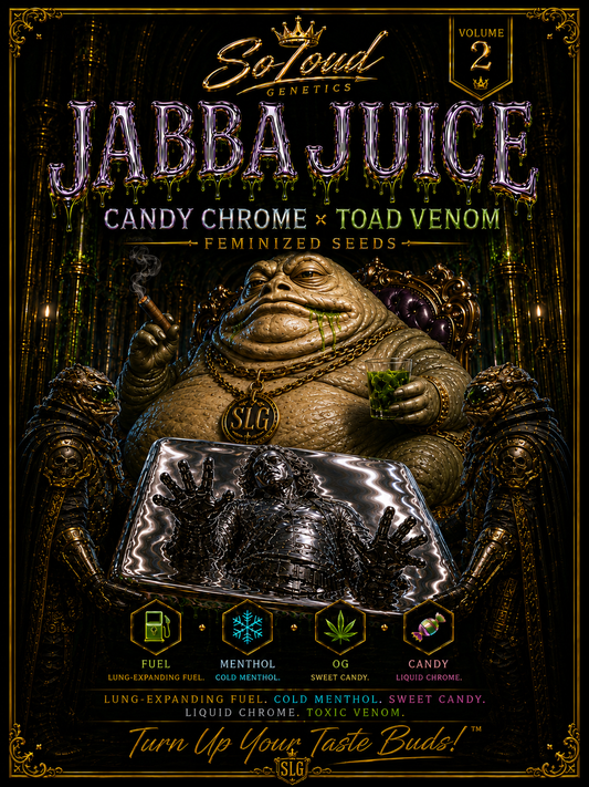 JABBA JUICE STRAIN FEMINIZED CANNABIS SEEDS