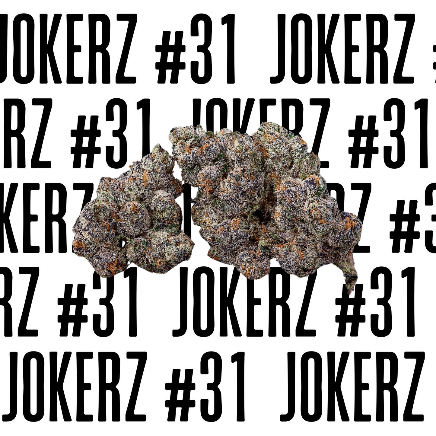 JOKERZ #31 S1 SEEDS