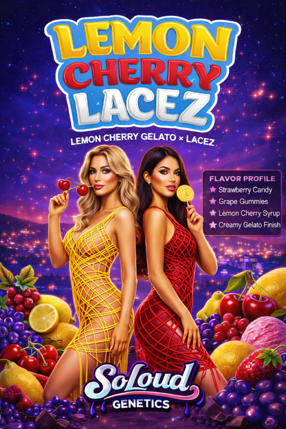LEMON CHERRY LACEZ STRAIN FEMINIZED SEEDS