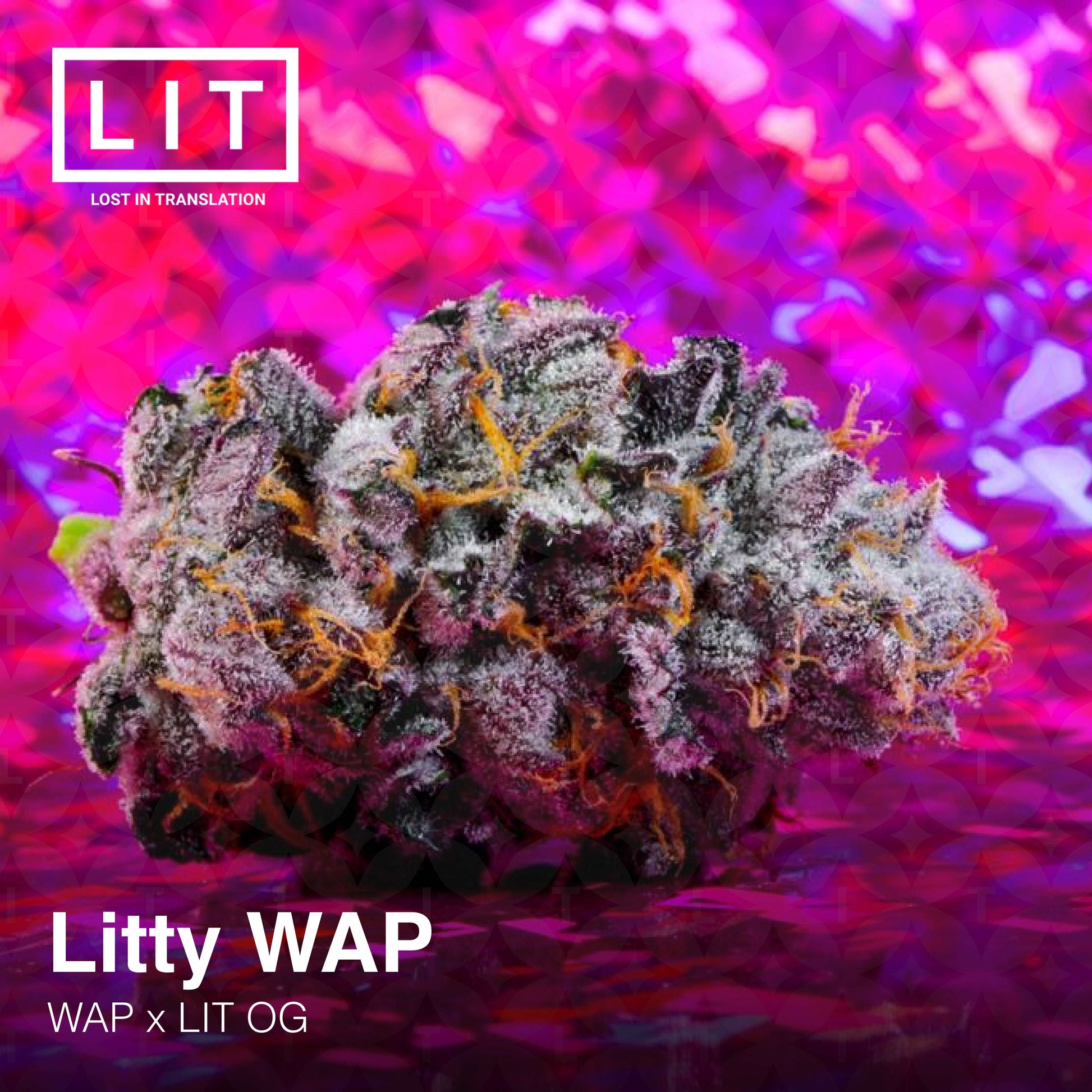 LITTY WAP (WAP x LIT OG) Feminized Seeds. LIT FARMS