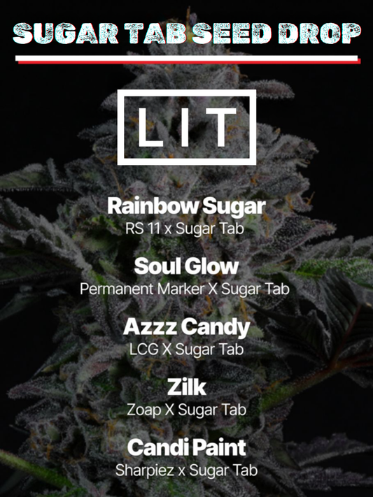 RAINBOW_SUGAR FEMINIZED CANNABIS SEEDS LIT FARMS
