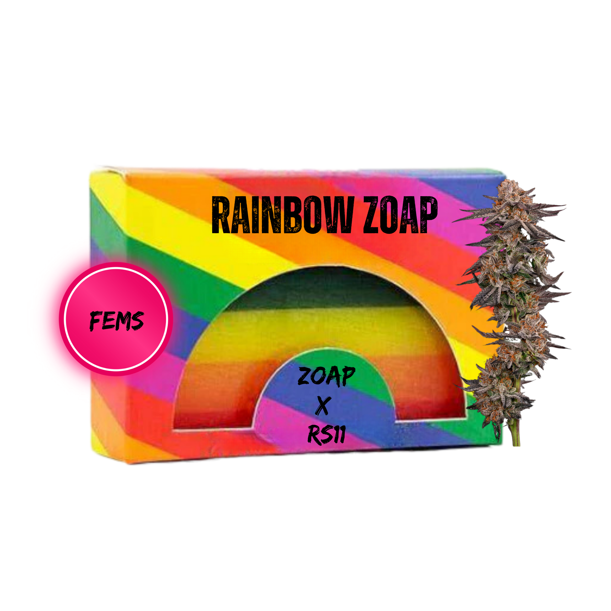 RAINBOW ZOAP (ZOAP X RS11) FEMINIZED SEEDS