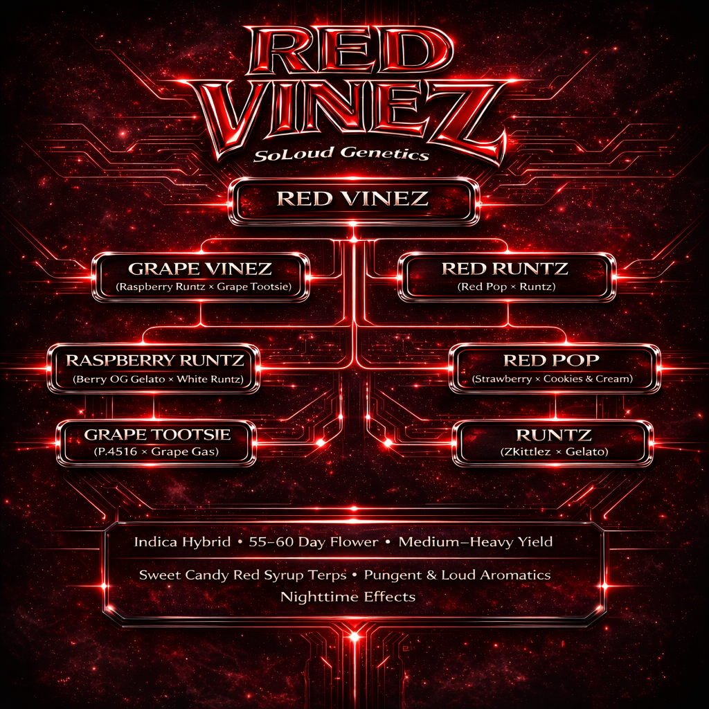 RED VINEZ CANNABIS STRAIN LINEAGE