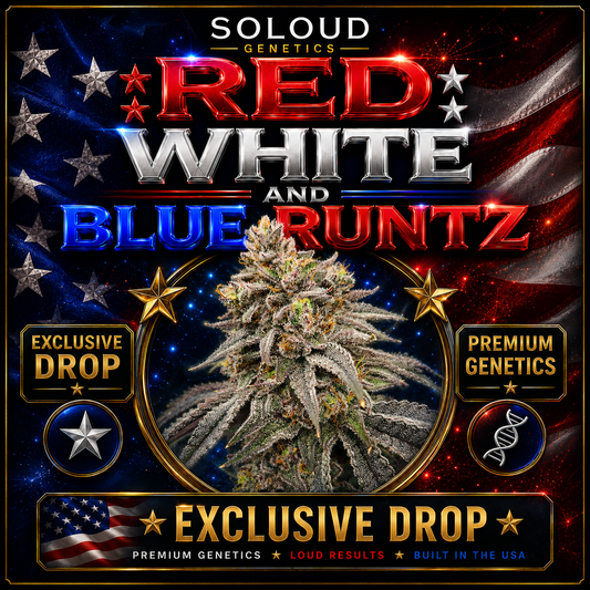 RED_WHITE_BLUE_RUNTZ_STRAIN_SEEDS