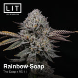 RAINBOW SOAP FEM