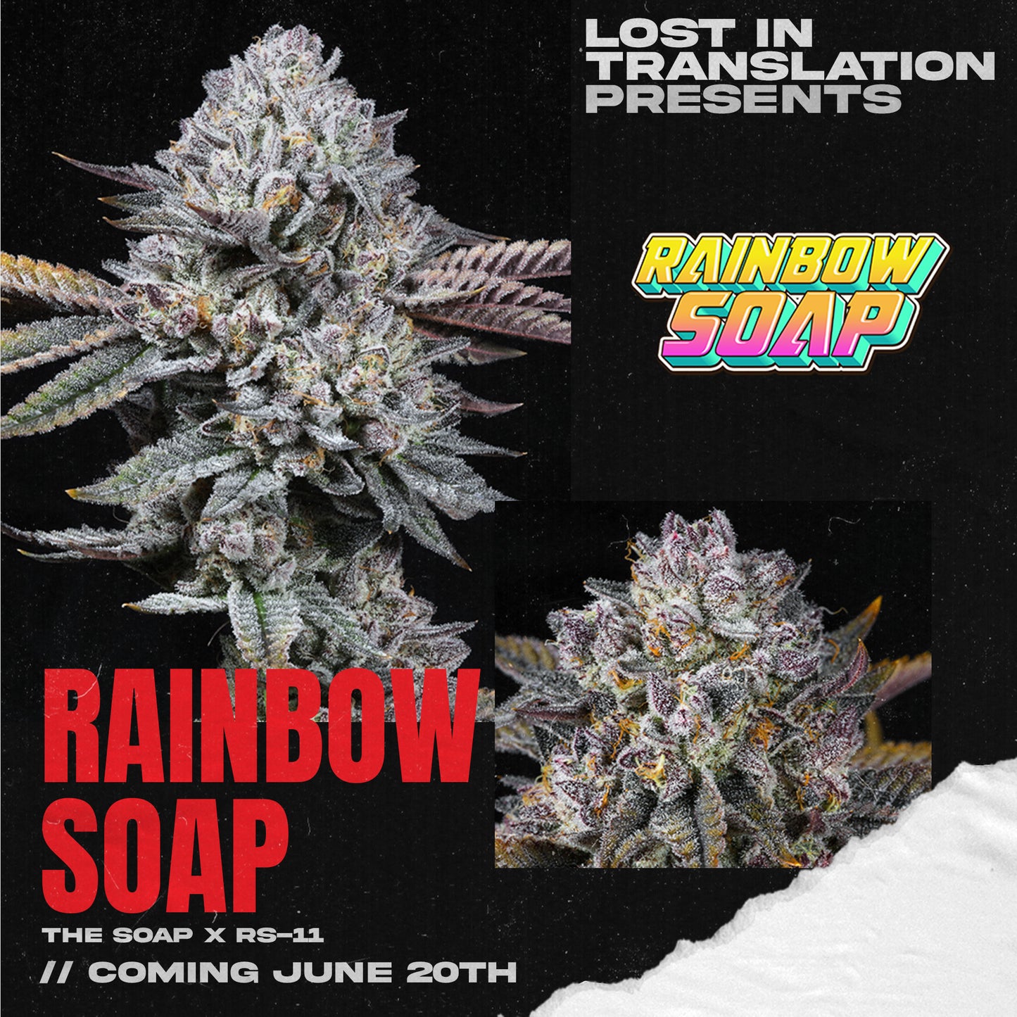 RAINBOW SOAP FEM