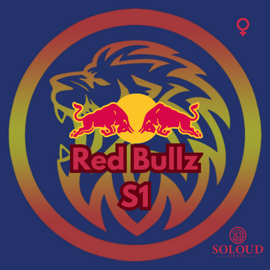 Red Bullz S1