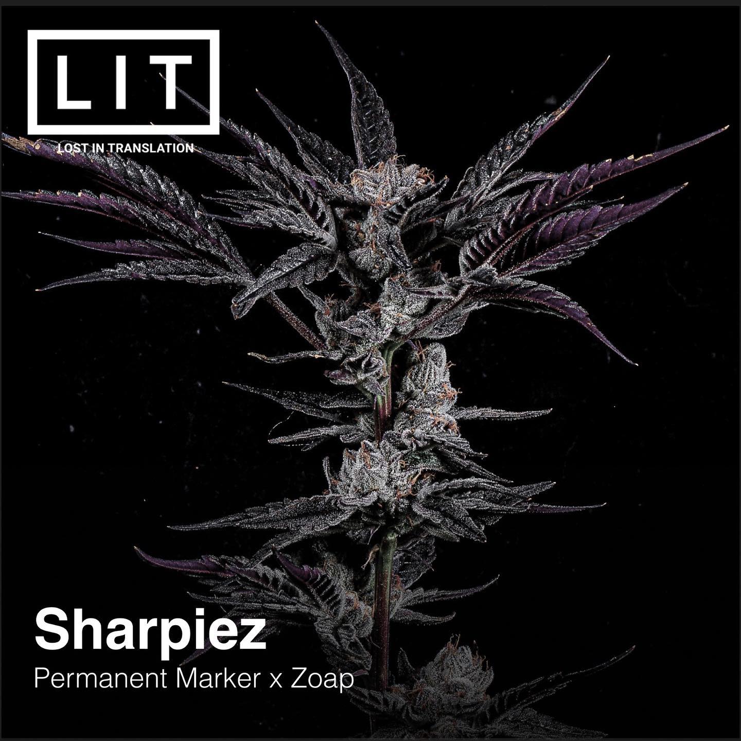 SHARPIEZ PERMANENT MARKER X ZOAP LIT FARMS