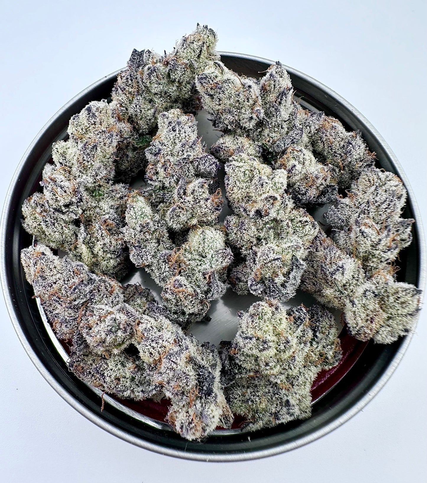 SAPPHIRE DESIRE (BLACK PATRONUS X BLUEBERRY BANG BANG) STRAIN FEMINIZED CANNABIS SEEDS EXOTIC GENETIX