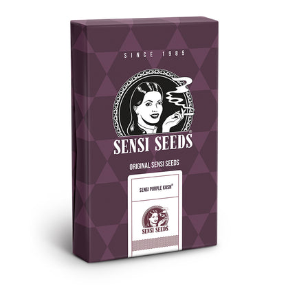 SENSI SEEDS PURPLE KUSH