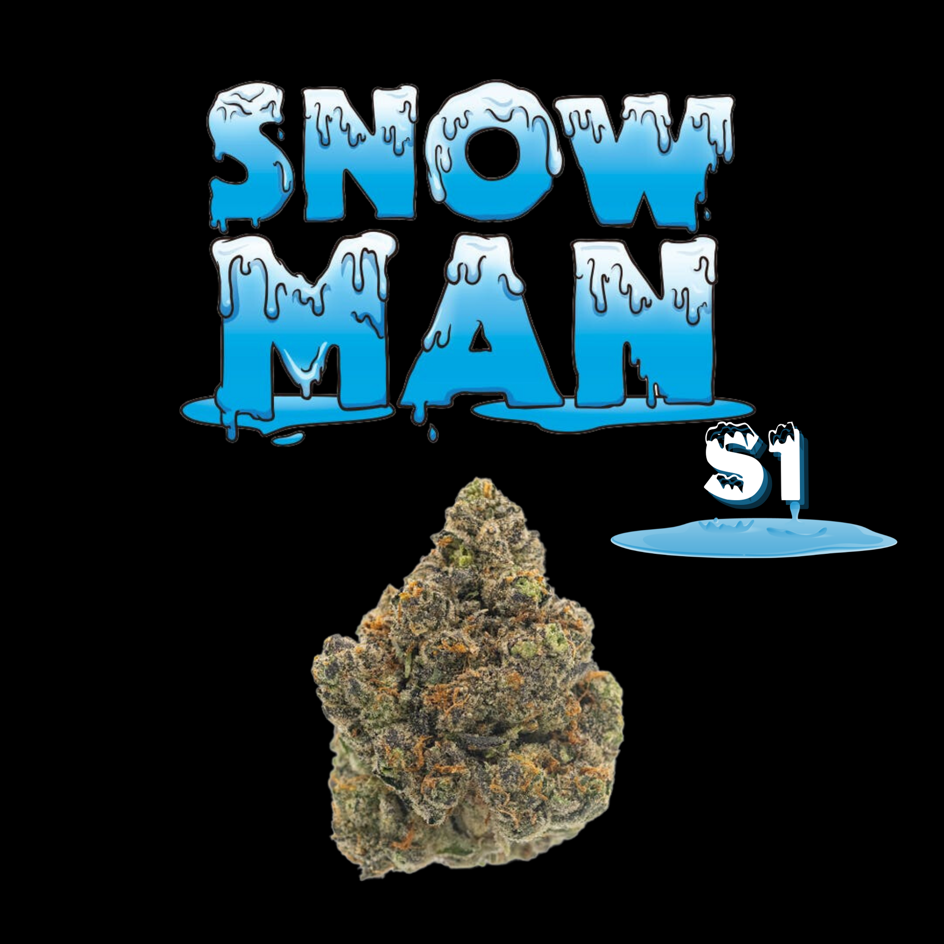 Snowman Strain S1 Feminized Seeds