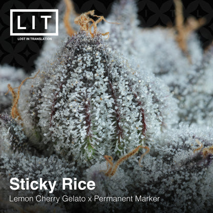 STICKY RICE  (LCG x Permanent Marker) Seeds Feminized. LIT FARMS