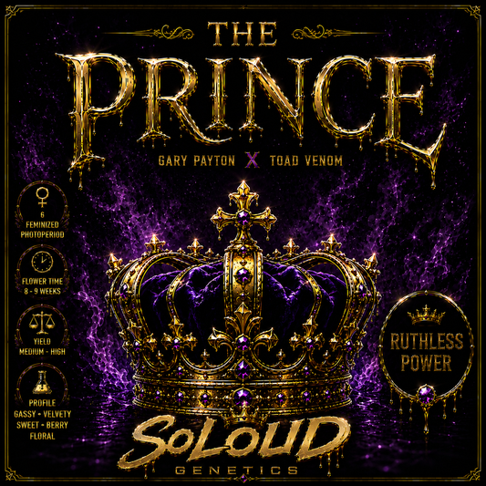 THE PRINCE FEMINIZED SEEDS