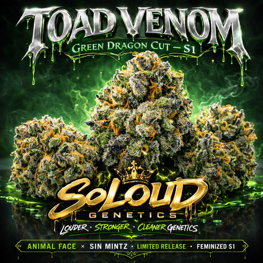 TOAD VENOM SEEDS
